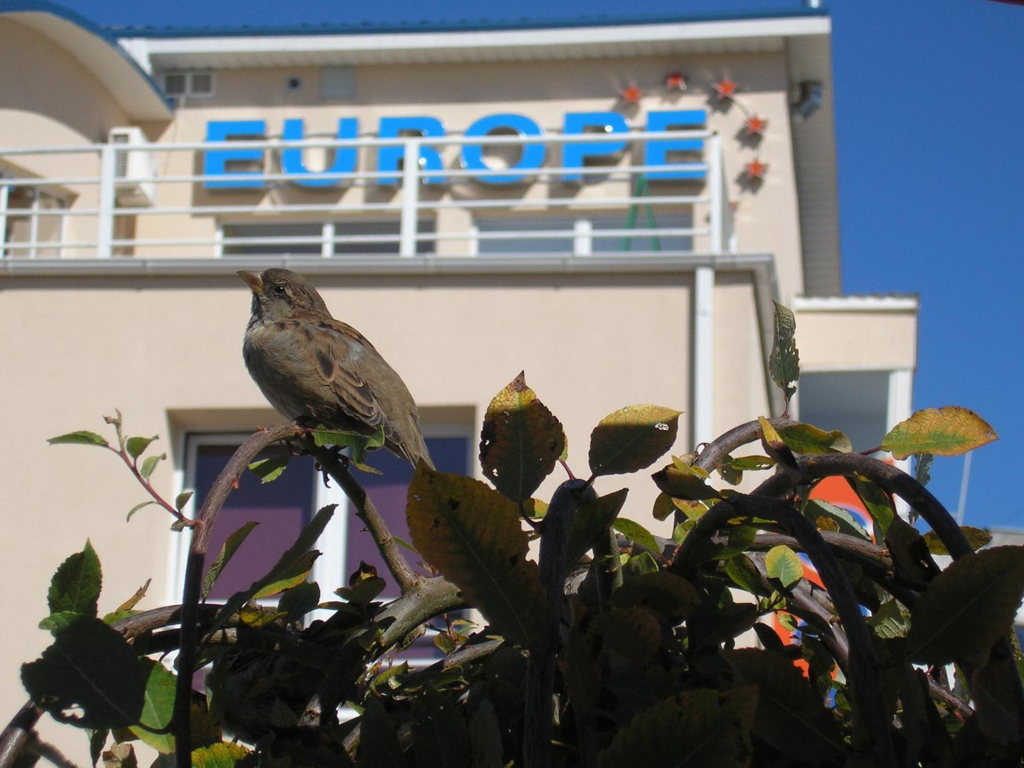 Europe Guesthouse Narva Buitenkant foto